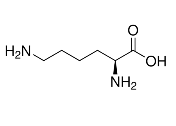 آمینو اسید ال لیزین سیگما آلدریچ، کد L5501