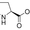 آمینو اسید ال پرولین سیگما آلدریچ، کد P5607