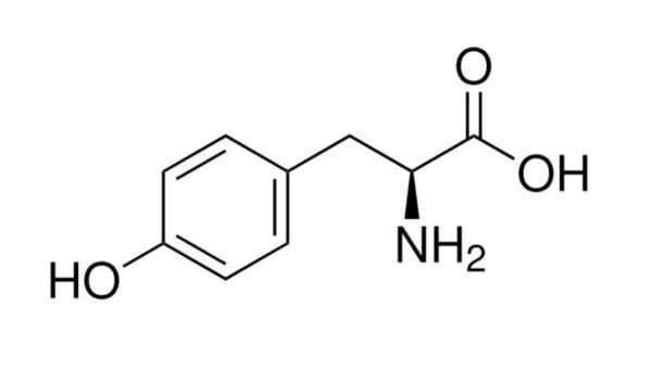 آمینو اسید ال تیروزین سیگما آلدریچ، کد T8566
