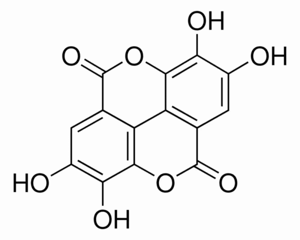 الاجیک اسید(الاژیک اسید) سیگما آلدریچ، کد E2250