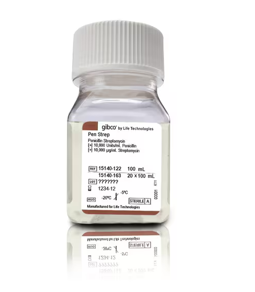 پن استرپ(پنیسیلین استرپتومایسین)، کد 15140122، برند ترموفیشر